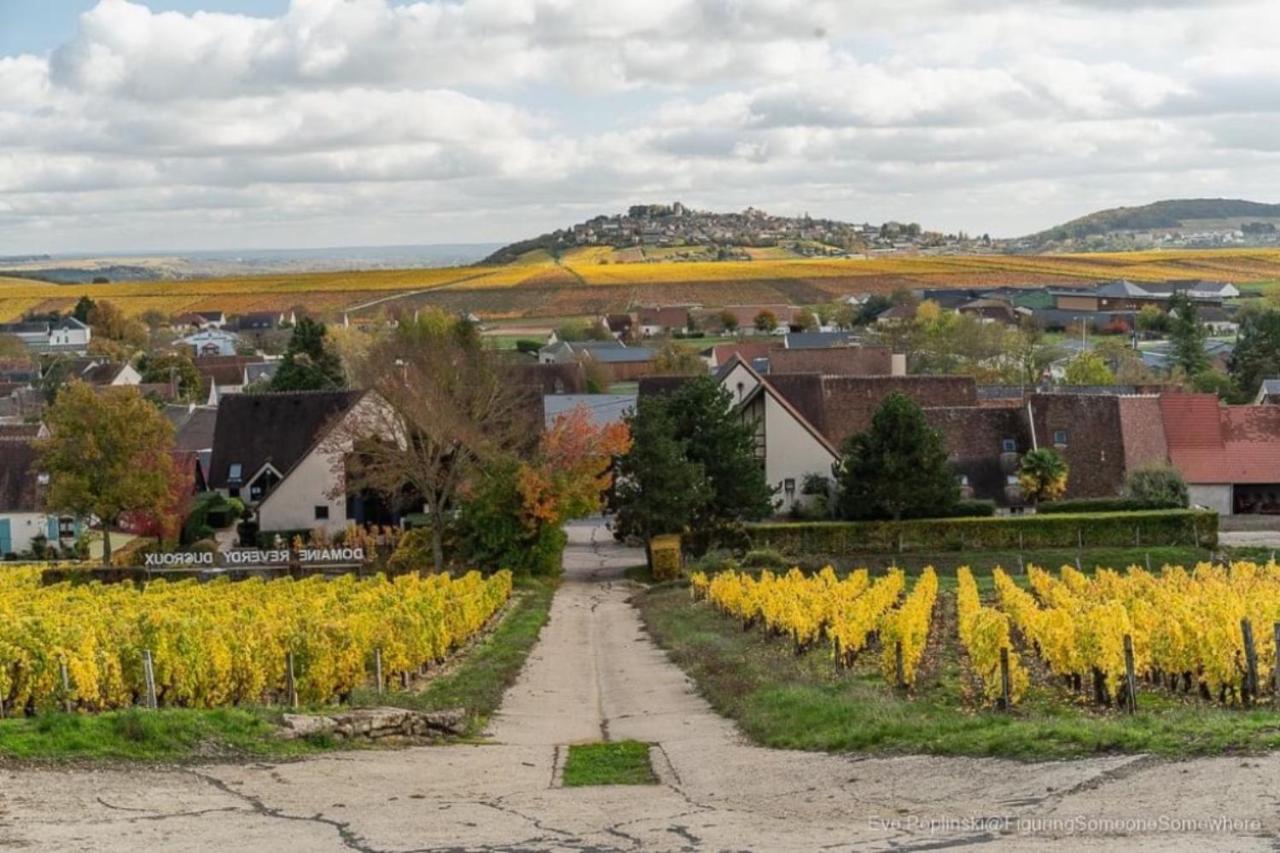 L'Annexe Villa Verdigny Dış mekan fotoğraf
